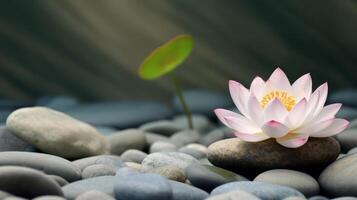 Lotus flower stone background. Illustration photo