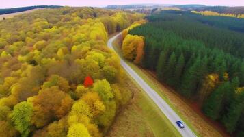 Drone view autumn forest road. Illustration photo