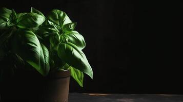 Basil leaves in flower pot. Illustration AI Generativ photo