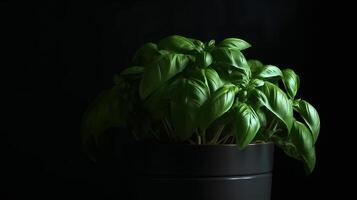 Basil leaves in flower pot. Illustration AI Generativ photo