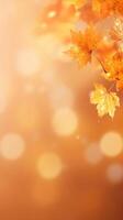 Autumn leaves bokeh background. Illustration photo