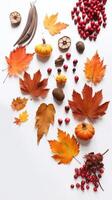 Autumn leaves background. Illustration photo