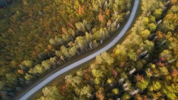 Drone view road. Illustration photo