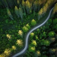 Drone view road. Illustration photo