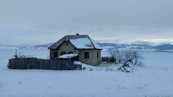 brilhante branco neve campo com pequeno casa em isto lento movimento video