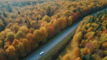 Drone view autumn forest road. Illustration photo