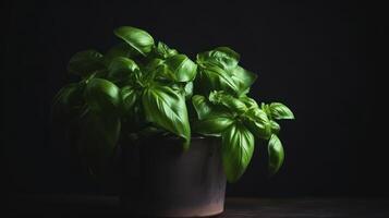 albahaca hojas en flor maceta. ilustración ai generativo foto