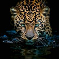 Wild leopard animal. Illustration AI Generative photo