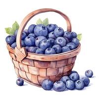 Watercolor blueberries in basket. Illustration photo