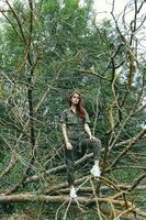 beautiful woman in overalls stands on a broken tree in the forest photo