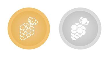 Berries Vector Icon