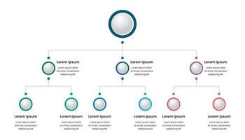 negocio estructura infografía modelo con corporativo jerarquía elementos vector