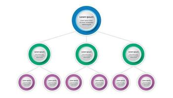 Hierarchy organization infographics template for business presentation vector