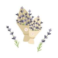 Bouquets of hand drawn lavender flowers. Vector illustration. Simple flat style.