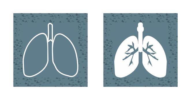 Lungs Vector Icon