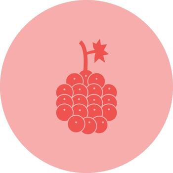 Raspberry Vector Icon