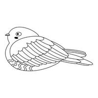 Cute, cartoon goatsucker bird, European Nightjar, Caprimulgus europaeus. Line art. vector