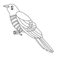 Cute, cartoon cuckoo bird. Line art. vector