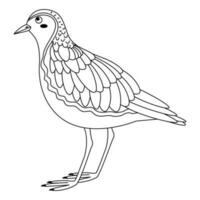 lindo, dibujos animados chorlito pájaro. línea Arte. vector