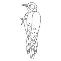 Cute, cartoon woodpecker bird. Line art. vector