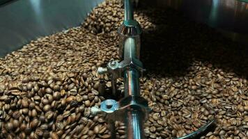 aromatisk kaffe bönor i rostning maskin video