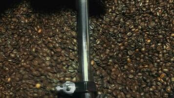 aromatisch Kaffee Bohnen im Braten Maschine video