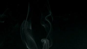 Slow motion of white smoke, fog, mist, vapor on a black background. video