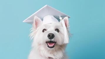 linda perro en graduación gorra. ilustración ai generativo foto