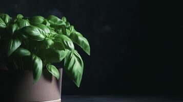 albahaca hojas en flor maceta. ilustración ai generativo foto