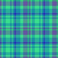 Vector plaid tartan. Texture textile background. Seamless check pattern fabric.