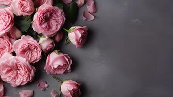Pink roses on a grey background with copy space. . photo