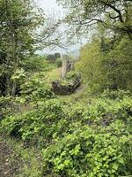 Beeston in the UK in April 2023. A view of Beeston Castle and its grounds photo