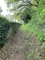 A view of the Cheshire Countryside near Beeston photo