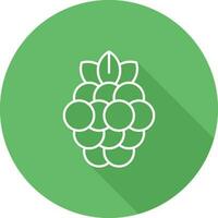 Raspberry Vector Icon