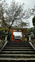 Kyoto, Japan in April 2019. The giant torii gate in front of Romon Gate at the entrance of Fushimi Inari Taisha Shrine. photo