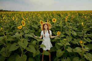 mujer con coletas en un Paja sombrero en un blanco vestir un campo de girasoles agricultura verano hora foto