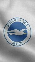 Brighton hove Albion Engeland wit verticaal logo vlag lus achtergrond hd video