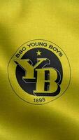 BSC Young Boys Switzerland Yellow Vertical Logo Flag Loop Background HD video