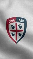 Cagliari Calcio Italy White Vertical Logo Flag Loop Background HD video