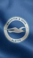 Brighton hove albione Inghilterra blu verticale logo bandiera ciclo continuo sfondo HD video