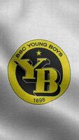 BSC Young Boys Switzerland White Vertical Logo Flag Loop Background HD video