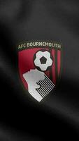 Bournemouth England svart vertikal logotyp flagga slinga bakgrund hd video