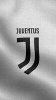 juventus Italien vit vertikal logotyp flagga slinga bakgrund hd video