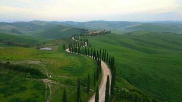 antenn Turné av de skön crete senesi i tuscany video