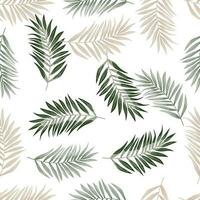 Abstract exotic plant seamless pattern. Tropical palm leaves pattern. Fern leaf wallpaper. Botanical texture. Floral background. vector