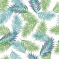 Abstract exotic plant seamless pattern. Tropical palm leaves pattern. Fern leaf wallpaper. Botanical texture. Floral background. vector