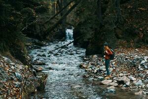 river flows between the banks in the forest and travel model photo