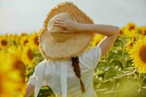 mujer con coletas en un Paja sombrero en un blanco vestir un campo de girasoles agricultura campo foto