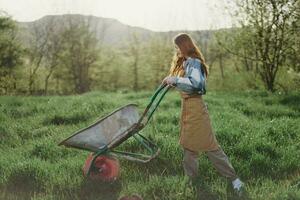 A young woman rolls a garden cart with soil for planting in her green nature garden and smiles photo