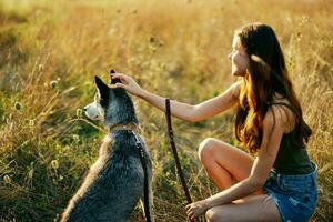 A woman sits next to her dog friend husky in a field of grass and holds the dog on a leash while looking at the sunset of the autumn sun photo